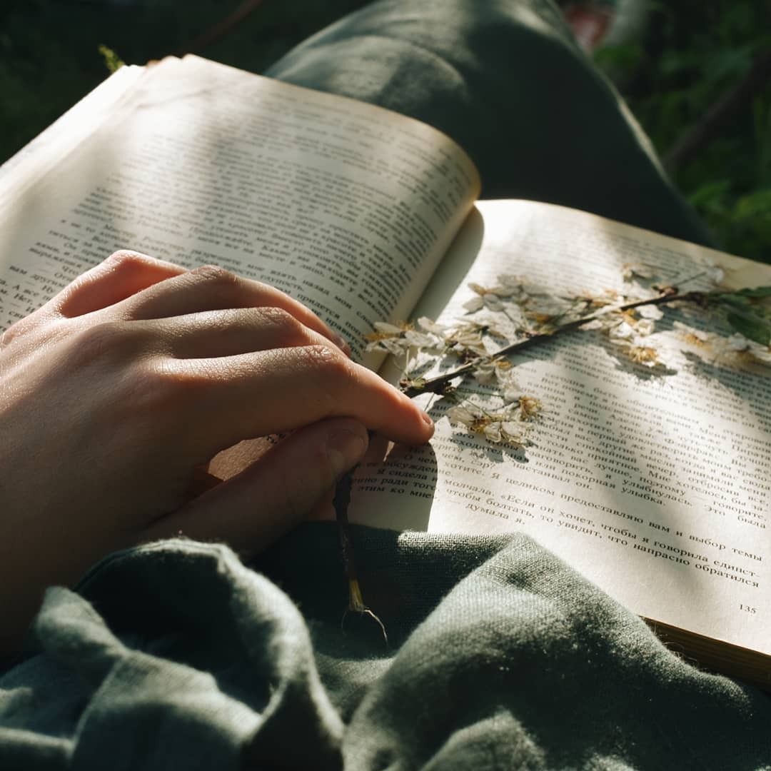 Livro aberto com flores silvestres prensadas sob uma luz suave